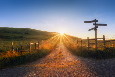 Image of a path through fields at sunrise with a signpost to the right pointing in several directions, illustrating that therapy can help you navigate life transitions.