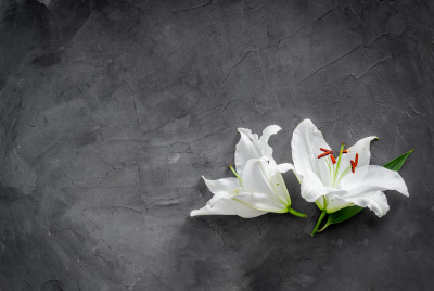 overhead view of two white flowers on a dark background illustrating that if grief is prolonged and makes it difficult to carry out daily activities, its time to seek help.