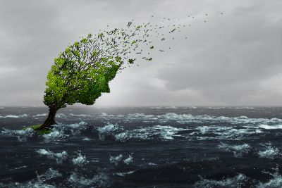 Illustration of a lone tree in the middle of choppy waves against a gray sky illustrating that our narcissistic abuse recovery group provides a safe and empowering space for survivors to heal from the emotional and psychological trauma caused by narcissistic abuse.